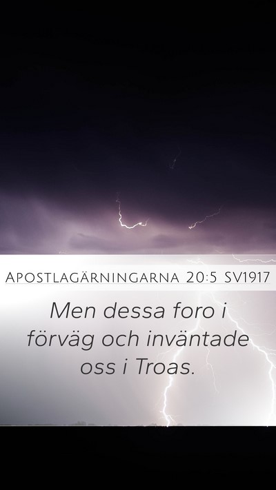 Apostlagärningarna 20:5 SV1917 Bible Verse Image