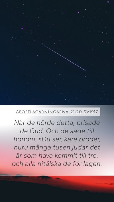 Apostlagärningarna 21:20 SV1917 Bible Verse Image