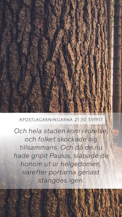 Apostlagärningarna 21:30 SV1917 Bible Verse Image