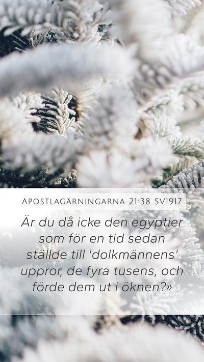 Apostlagärningarna 21:38 SV1917 Bible Verse Image