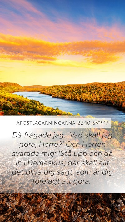 Apostlagärningarna 22:10 SV1917 Mobile Phone Wallpaper - Då frågade jag: 'Vad skall jag göra, Herre?' - Mobile Bible Verse Wallpaper
