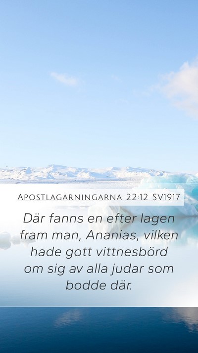 Apostlagärningarna 22:12 SV1917 Bible Verse Image