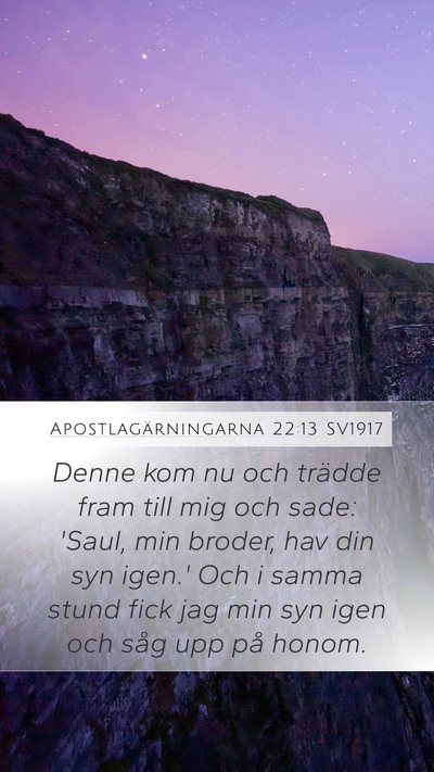 Apostlagärningarna 22:13 SV1917 Mobile Phone Wallpaper - Denne kom nu och trädde fram till mig och sade: - Mobile Bible Verse Wallpaper