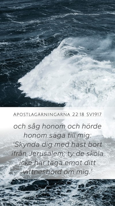 Apostlagärningarna 22:18 SV1917 Bible Verse Image