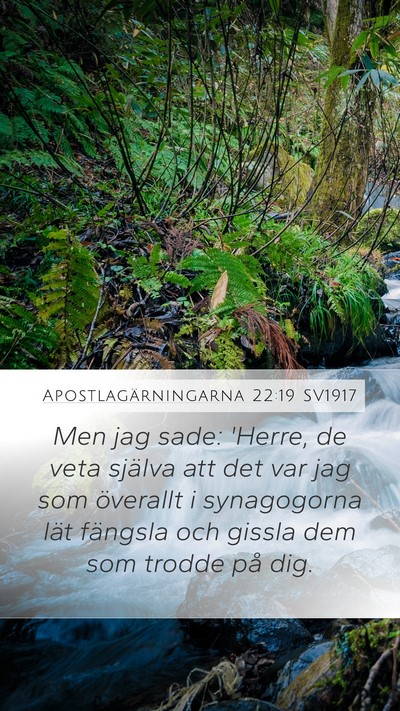 Apostlagärningarna 22:19 SV1917 Bible Verse Image