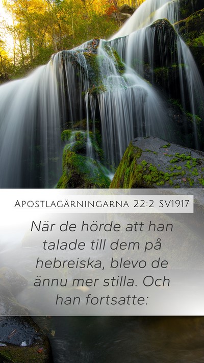 Apostlagärningarna 22:2 SV1917 Bible Verse Image