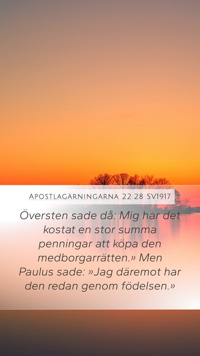 Apostlagärningarna 22:28 SV1917 Mobile Phone Wallpaper - Översten sade då: Mig har det kostat en stor - Mobile Bible Verse Wallpaper