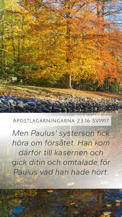 Apostlagärningarna 23:16 SV1917 Bible Verse Image