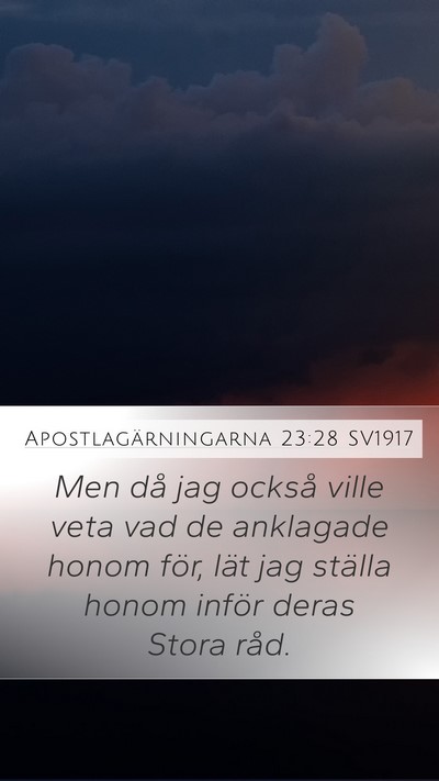 Apostlagärningarna 23:28 SV1917 Bible Verse Image