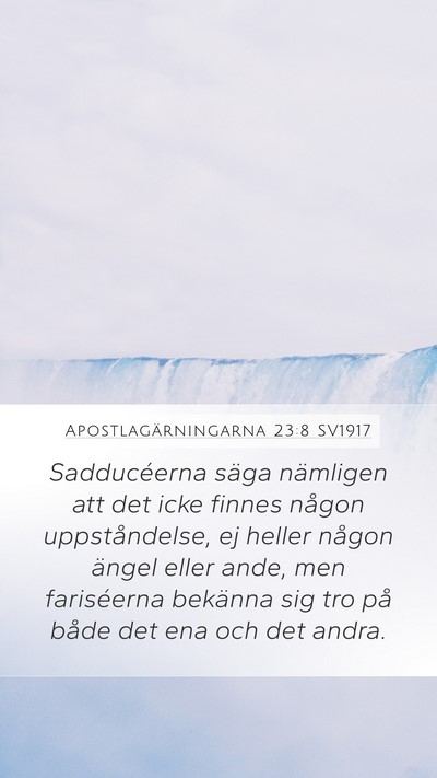 Apostlagärningarna 23:8 SV1917 Bible Verse Image
