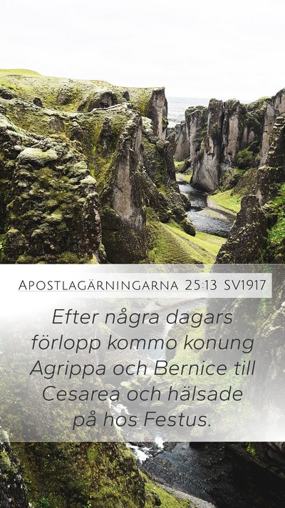Apostlagärningarna 25:13 SV1917 Bible Verse Image
