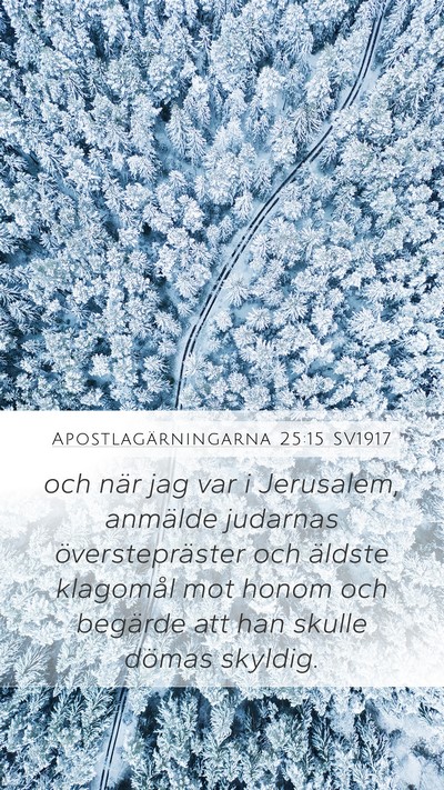 Apostlagärningarna 25:15 SV1917 Bible Verse Image