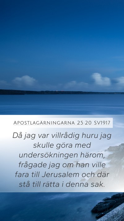 Apostlagärningarna 25:20 SV1917 Bible Verse Image