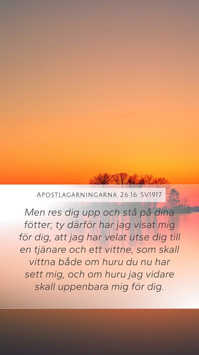 Apostlagärningarna 26:16 SV1917 Bible Verse Image