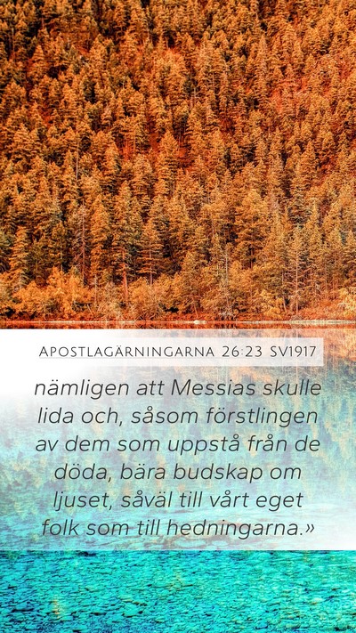 Apostlagärningarna 26:23 SV1917 Bible Verse Image