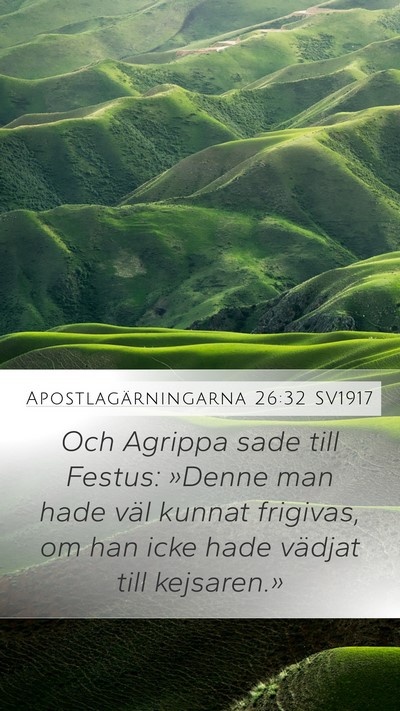 Apostlagärningarna 26:32 SV1917 Bible Verse Image