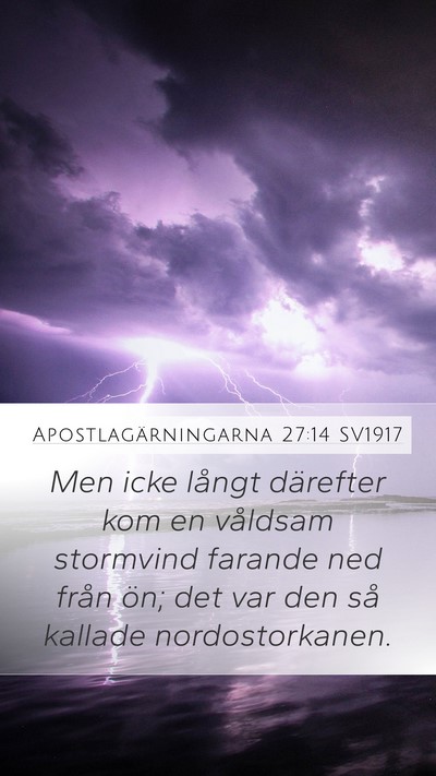Apostlagärningarna 27:14 SV1917 Bible Verse Image