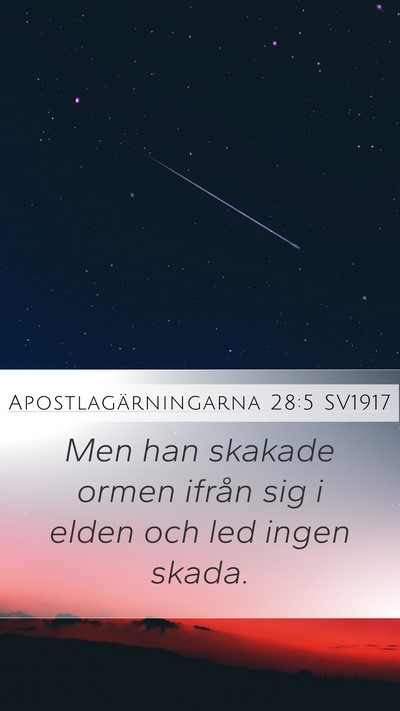 Apostlagärningarna 28:5 SV1917 Bible Verse Image