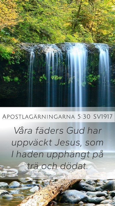 Apostlagärningarna 5:30 SV1917 Bible Verse Image