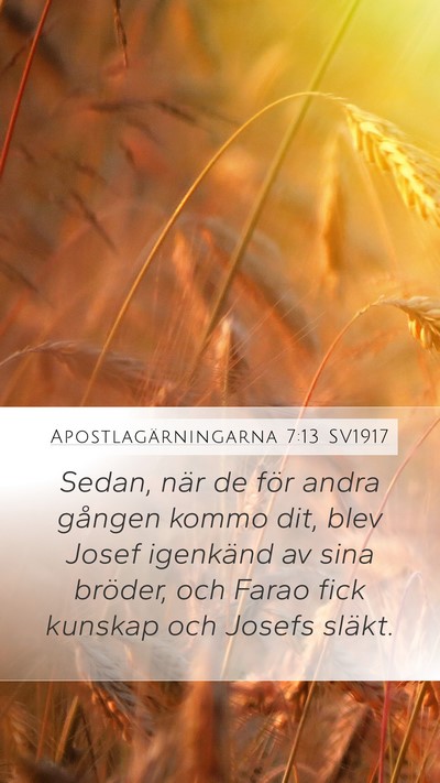 Apostlagärningarna 7:13 SV1917 Bible Verse Image