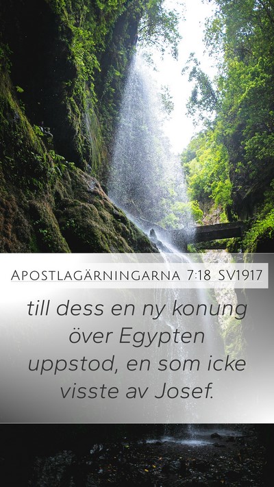 Apostlagärningarna 7:18 SV1917 Mobile Phone Wallpaper - till dess en ny konung över Egypten uppstod, en - Mobile Bible Verse Wallpaper