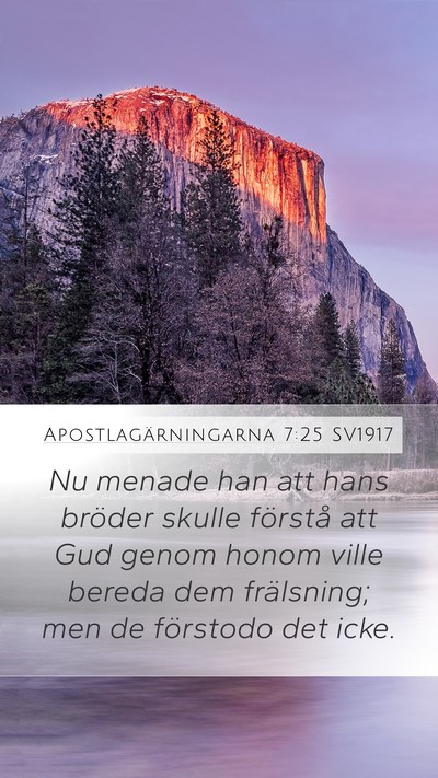 Apostlagärningarna 7:25 SV1917 Bible Verse Image