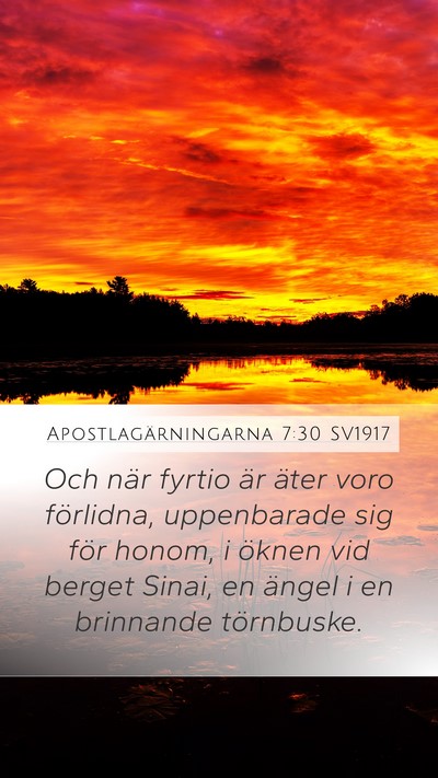 Apostlagärningarna 7:30 SV1917 Bible Verse Image