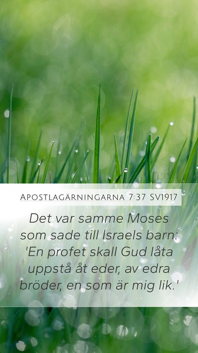 Apostlagärningarna 7:37 SV1917 Bible Verse Image