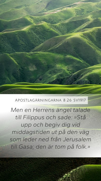 Apostlagärningarna 8:26 SV1917 Bible Verse Image