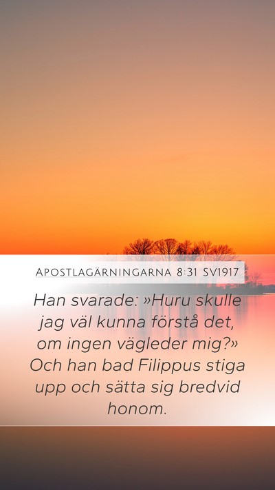 Apostlagärningarna 8:31 SV1917 Bible Verse Image
