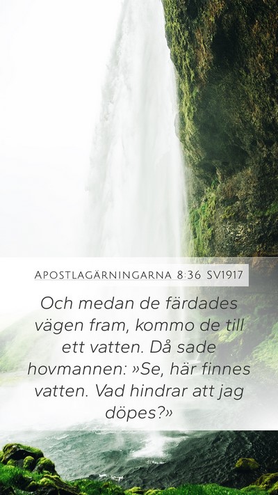 Apostlagärningarna 8:36 SV1917 Bible Verse Image