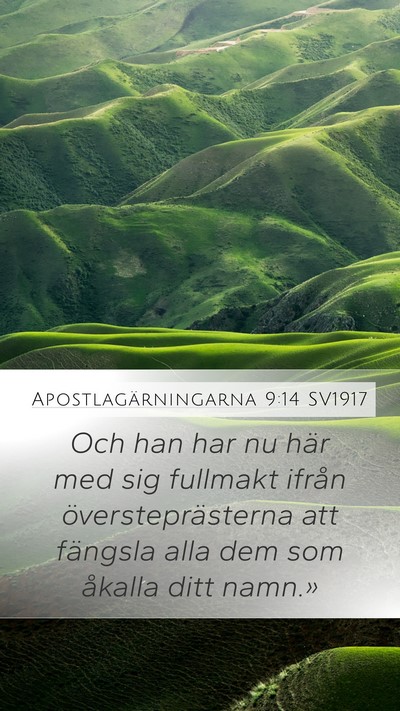 Apostlagärningarna 9:14 SV1917 Bible Verse Image