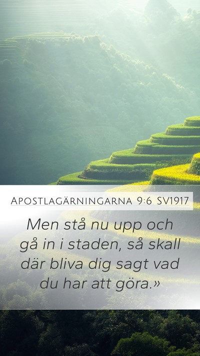Apostlagärningarna 9:6 SV1917 Bible Verse Image