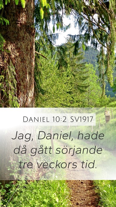 Daniel 10:2 SV1917 Bible Verse Image