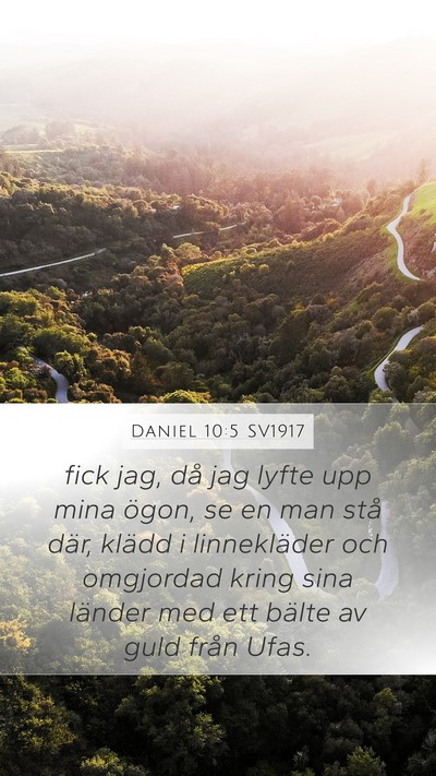 Daniel 10:5 SV1917 Bible Verse Image