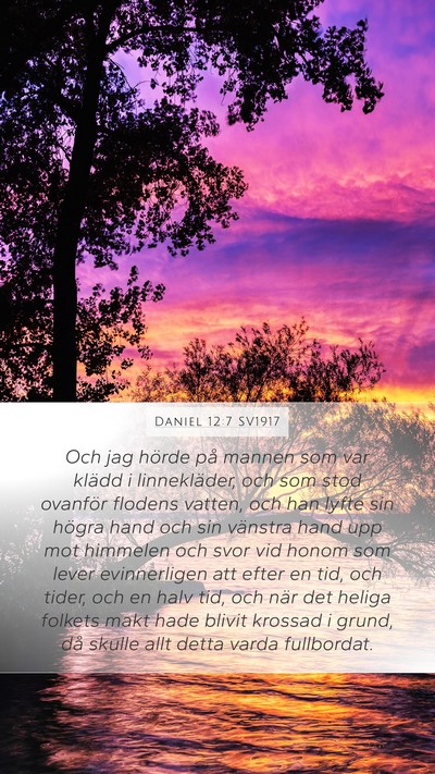 Daniel 12:7 SV1917 Bible Verse Image