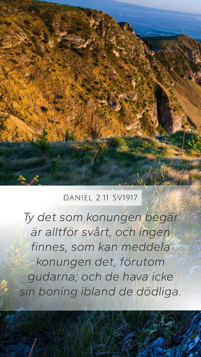 Daniel 2:11 SV1917 Bible Verse Image