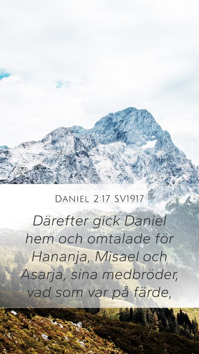 Daniel 2:17 SV1917 Bible Verse Image