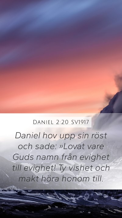 Daniel 2:20 SV1917 Bible Verse Image