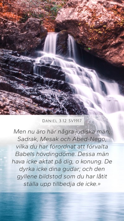 Daniel 3:12 SV1917 Bible Verse Image