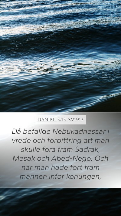 Daniel 3:13 SV1917 Bible Verse Image