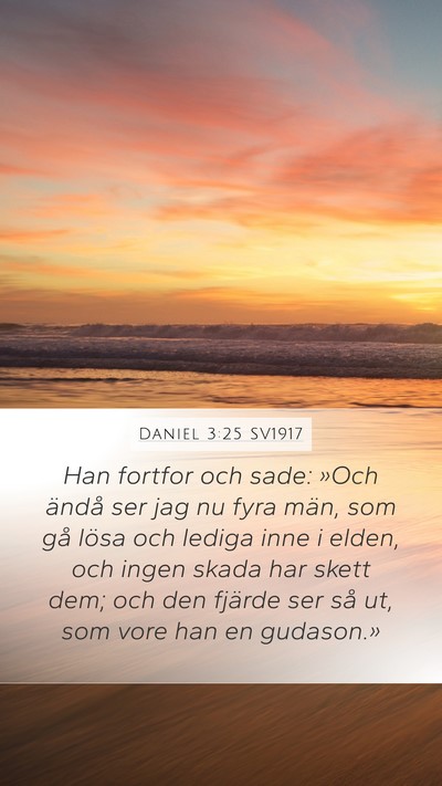 Daniel 3:25 SV1917 Bible Verse Image