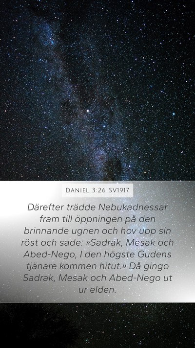 Daniel 3:26 SV1917 Bible Verse Image