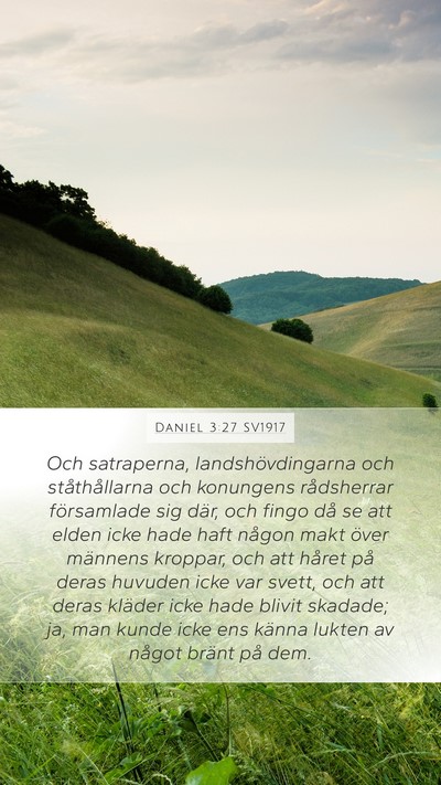 Daniel 3:27 SV1917 Bible Verse Image
