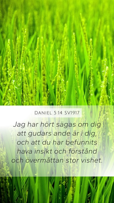 Daniel 5:14 SV1917 Bible Verse Image