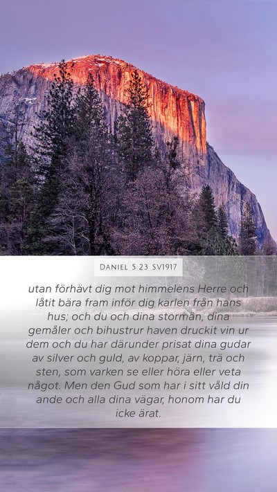 Daniel 5:23 SV1917 Bible Verse Image