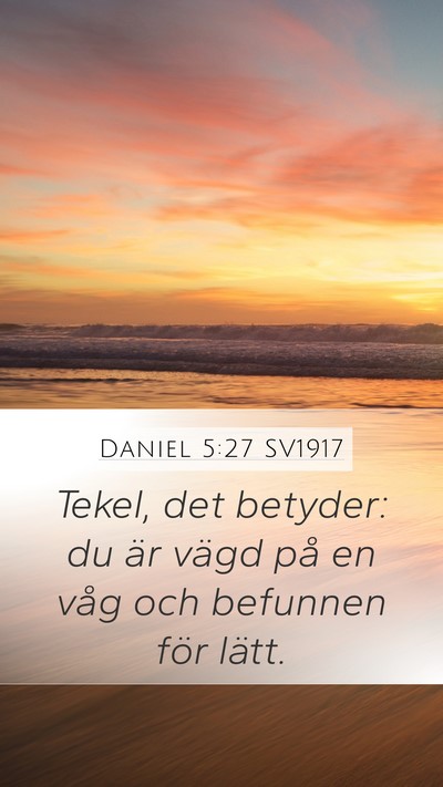 Daniel 5:27 SV1917 Bible Verse Image