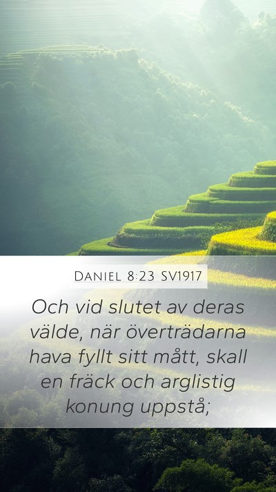 Daniel 8:23 SV1917 Bible Verse Image