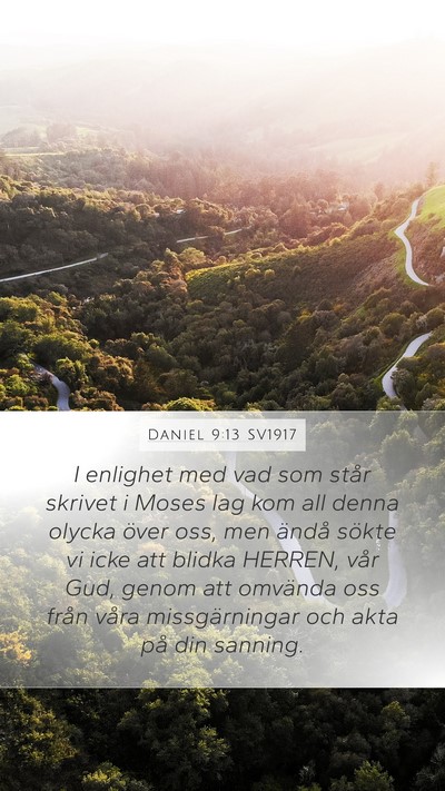 Daniel 9:13 SV1917 Bible Verse Image