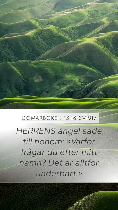 Domarboken 13:18 SV1917 Bible Verse Image